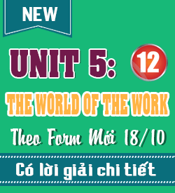 UNIT 5. THE WORLD OF THE WORK (18/10)